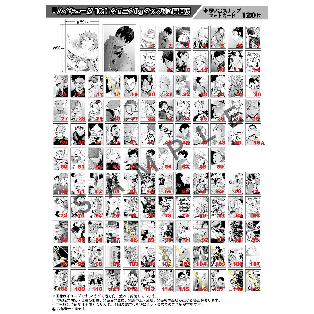 ハイキュー!! | HAIKYUU!! 10th Chronicle SNAPSHOT STYLE PHOTO CARD | 0012