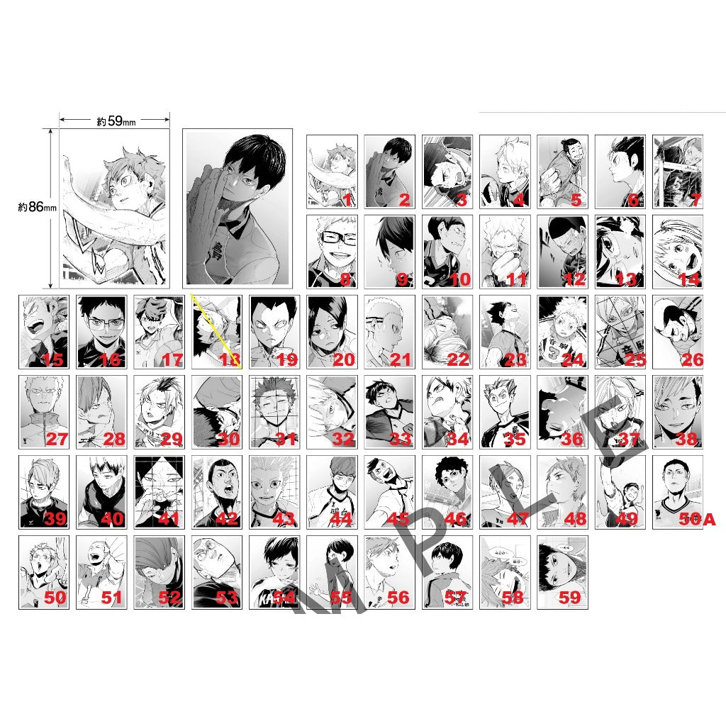 ハイキュー!! | HAIKYUU!! 10th Chronicle SNAPSHOT STYLE PHOTO CARD | 0012